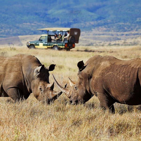 Lewa Conservancy