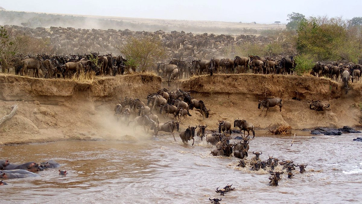 Maasai Mara National Reserve