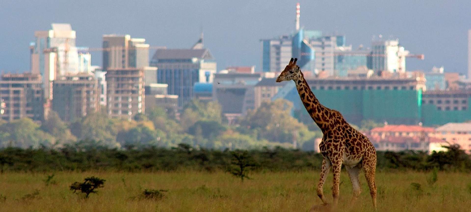 Nairobi