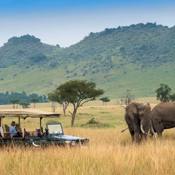 Samburu National Reserve