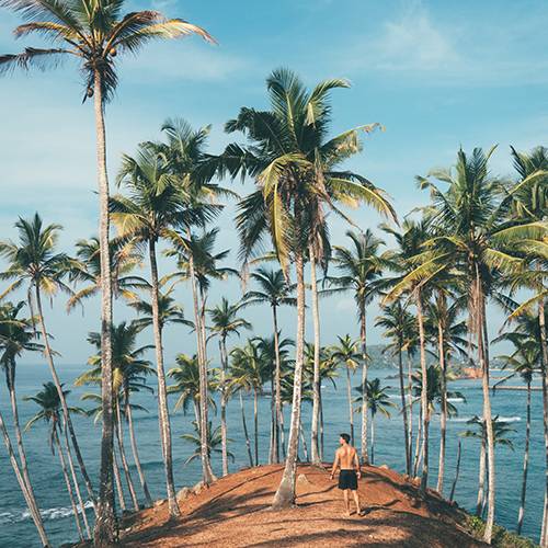 Zanzibar