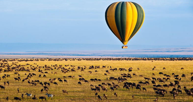 Maasai mara